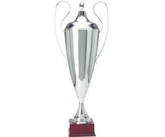 Tryumf Sidabrinis metalinis puodelis T-D 1042-N/C