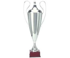 Tryumf Sidabrinis metalinis puodelis T-D 1042-N/C