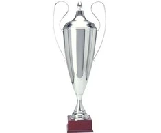 Tryumf Sidabrinis metalinis puodelis T-D 1042-N/C