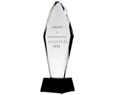 Tryumf Graviruotas stiklo trofėjus H 31 cm