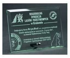 Tryumf Graviruotas stiklo trofėjus