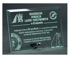 Tryumf Graviruotas stiklo trofėjus