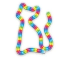 Neon LED RGB Katė FLRN03 + Nuotolinis valdymas Forever Light