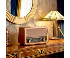 Telforceone Forever Electro AM/FM Radio VINCENT JB-120 BT USB 1200mAh