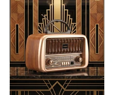 Telforceone Forever Electro FM Radio CARLO JB-105 BT USB 1200mAh