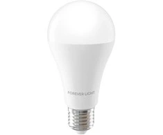 Telforceone Forever Light LED Bulb E27 A65 17W 2100lm 6000K class E