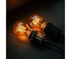 TelForceone LED lemputė Kaitinimas E27 A60 4W 230V 2000K 250lm SF dūminis Forever Light