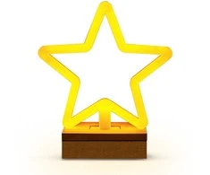 Neon Wood Stand LED Žvaigždė šiltai balta FLNW04 Forever Light