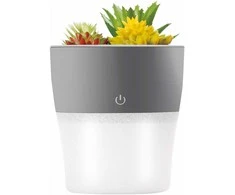 Telforceone Setty humidifier NP-18 pilkas