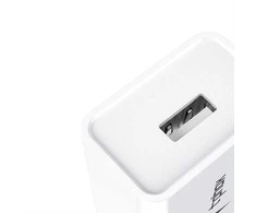Tinklo įkroviklis T-PHOX MINI-EU lightning baltos spalvos 1.2M 2.4A