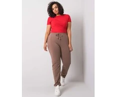 Basic Feel Good Sportinės kelnės-RV-DR-6301.88-rudos