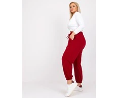 Basic Feel Good Sportiniai kelnaitės-RV-DR-6331.86-bordo