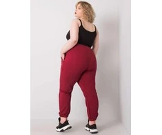 Basic Feel Good Sportiniai kelnaitės-RV-DR-6331.86-bordo