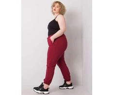 Basic Feel Good Sportiniai kelnaitės-RV-DR-6331.86-bordo