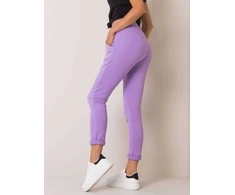 Basic Feel Good Sportiniai kelnaitės-RV-DR-3698.92-violetinė