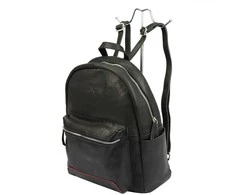 Moteriška kuprinė Pierre Cardin YS12 200121