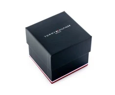 Vyriškas laikrodis TOMMY HILFIGER 1710409 EVAN (zf033b)