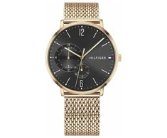 Vyriškas laikrodis TOMMY HILFIGER BROOKLYN 1791505 (zf061b)