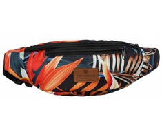 Peterson PTN NER-01