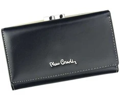 Pierre Cardin 01 LINE 108