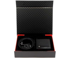 Dovanų rinkinys vyrams Pierre Cardin ZG-214-BR
