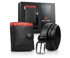 Pierre Cardin ZP-002