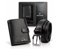 Pierre Cardin ZP-009
