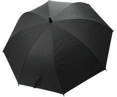 Skėtis Pierre Cardin OMB-09