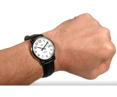 Laikrodis vyrams TIMEX Easy Reader 38mm TW2V26600 + BOX