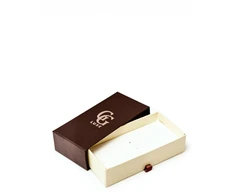 Boto Watch Box GG Luxe Brown