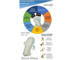 Coccine Thermoactive Cool Fresh Dry vidpadžiai