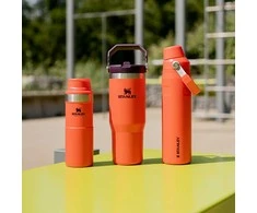 Gertuvė STANLEY AEROLIGHT FAST FLOW (0.6 l)