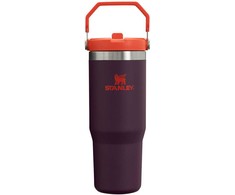 Stanley Termo puodelis su šiaudeliu, violetinis, 0.89l