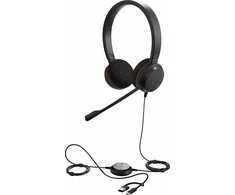 JABRA Evolve 20 USB C/A MS Stereo ausinės