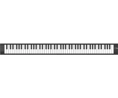 Blackstar Amplification Carry-On FP88T skaitmeninis sulankstomas pianinas, juodas