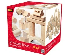 „Brio Rinkinys“ statybiniai blokeliai (30113)
