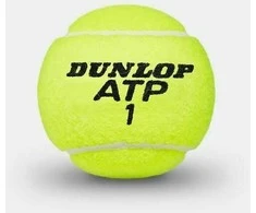 Dunlop Sport Dunlop ATP čempionatas - teniso kortos, 8 vnt.
