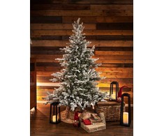 Everlands Grandis fir aidonnäköinen lumikuusi, 180 cm