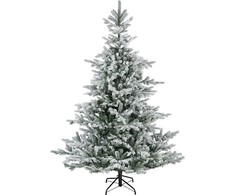 Everlands Grandis fir aidonnäköinen lumikuusi, 180 cm