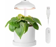 Enne Interior Enne Bijou Grow -kasvivalaisin,USB, 5 W, 240 lm, valkoinen