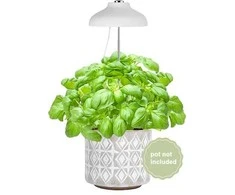 Enne Interior Enne Bijou Grow -kasvivalaisin,USB, 5 W, 240 lm, valkoinen