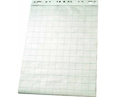 Bloknotas konferencijų stovui Esselte, 59x80cm, langeliais, 50 lapų