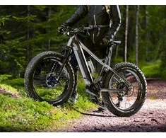 GZR Dominanc-e 3.0 sähköfatbike 17