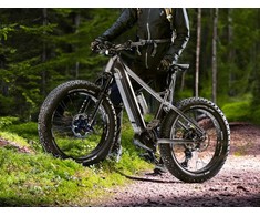 GZR Dominanc-e 3.0 sähköfatbike 19