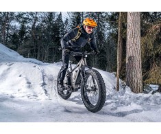 GZR Dominanc-e 3.0 sähköfatbike 19