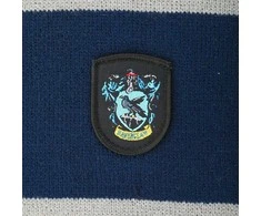 Vision Harry Potter Hario Poterio skara Ravenclaw