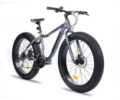 Dviratis Insera Muffle 26 Fatbike, 48 cm, pilkas