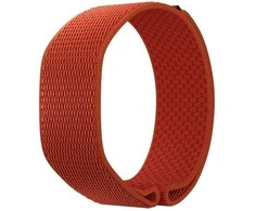 POLAR WB LOOP GEN2 ORA S-L