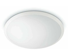 Sieninis šviestuvas Philips Wawel 36W balta