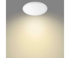Lubinis šviestuvas Philips MyLiving Wawel -kattovalaisin, valkoinen, 38 cm, 2000 lm